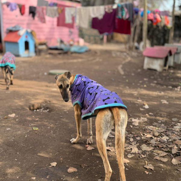 WhatsApp Image 2025-10-09 at 15.45.17 (2)