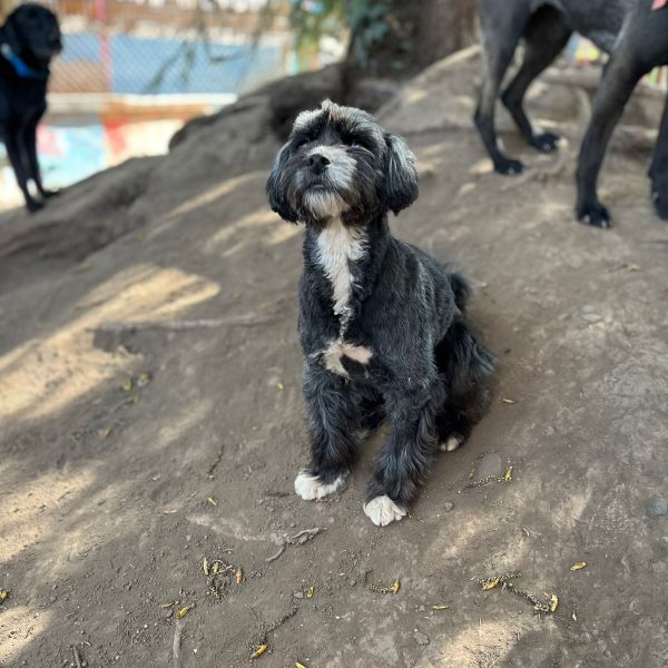 WhatsApp Image 2025-10-10 at 18.21.46