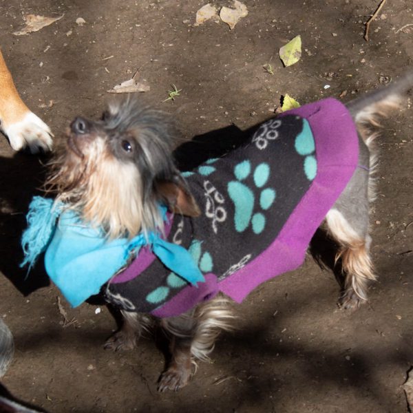 WhatsApp Image 2025-10-10 at 18.22.45