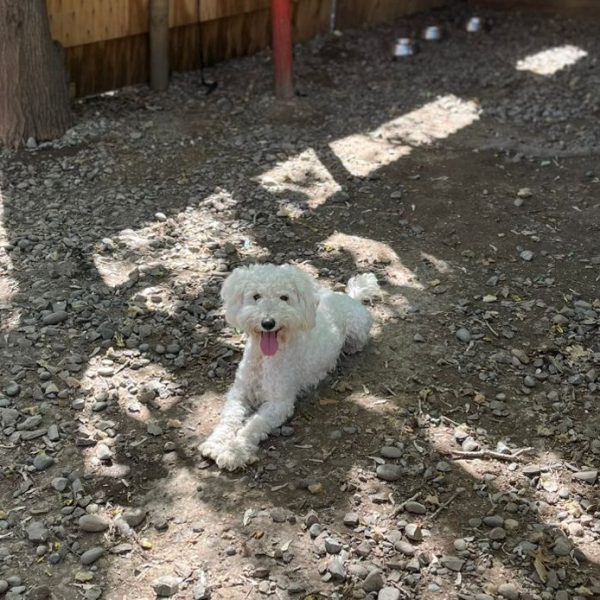 WhatsApp Image 2025-10-15 at 12.56.24