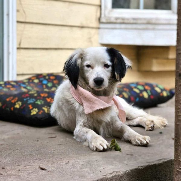 WhatsApp Image 2025-11-21 at 16.58.47