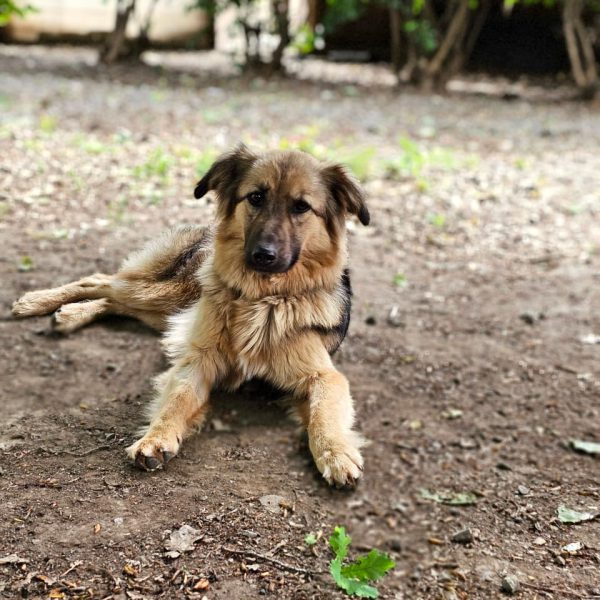 WhatsApp Image 2025-11-21 at 17.06.00