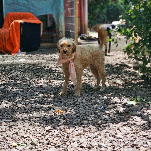 WhatsApp Image 2025-11-21 at 17.07.12