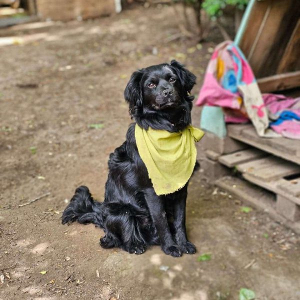 WhatsApp Image 2025-11-21 at 17.21.37