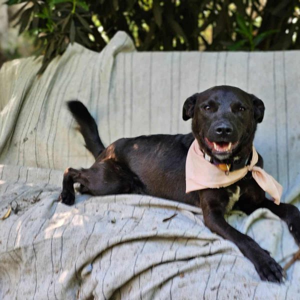 WhatsApp Image 2025-11-21 at 17.24.58