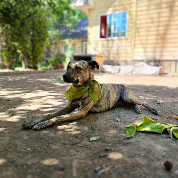 WhatsApp Image 2025-11-21 at 17.28.58