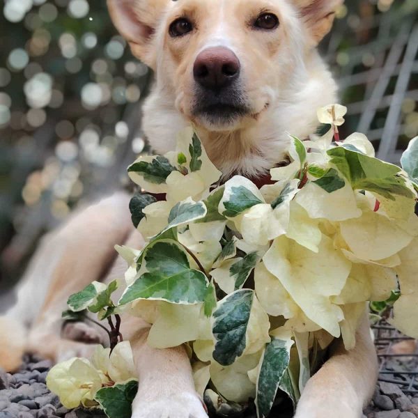 WhatsApp Image 2026-01-18 at 20.50.40