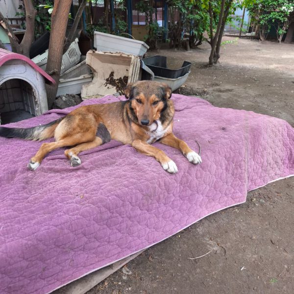 WhatsApp Image 2026-01-27 at 13.33.29