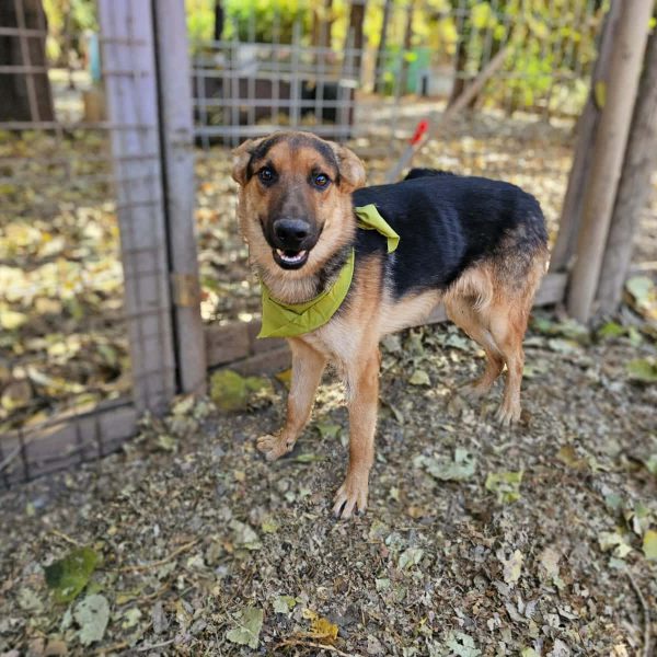 WhatsApp Image 2026-01-27 at 14.57.16