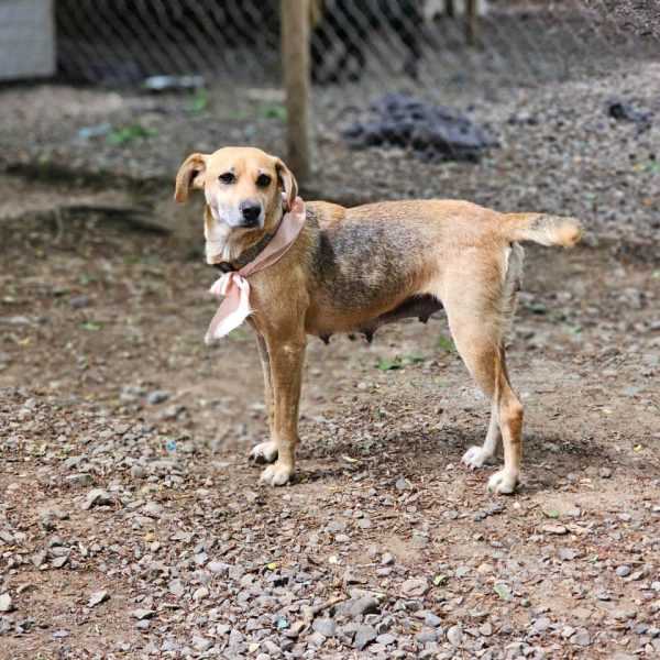 WhatsApp Image 2026-02-02 at 11.16.16