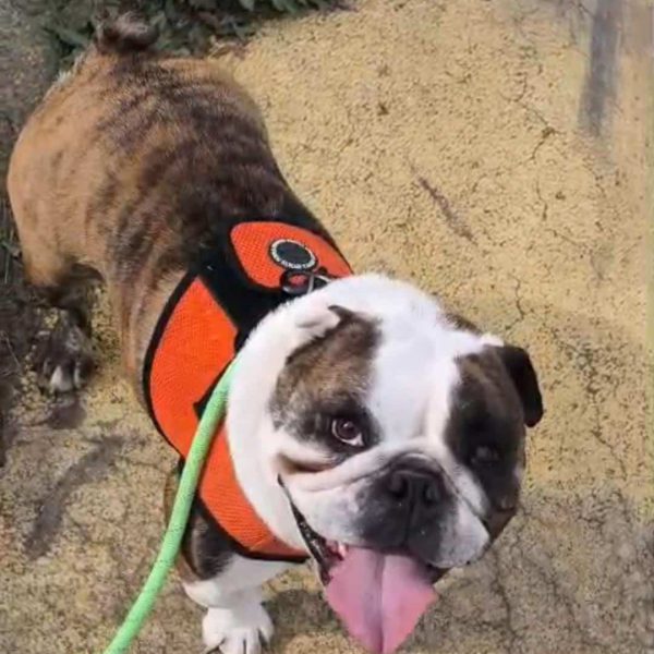 WhatsApp Image 2026-02-02 at 13.10.30